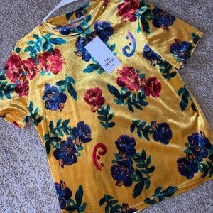 BEAUTIFUL ZARA TOP NEW WITH TAGS